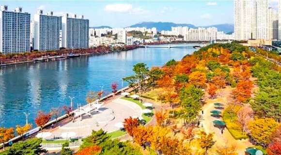 APEC 나루공원 (수영강)